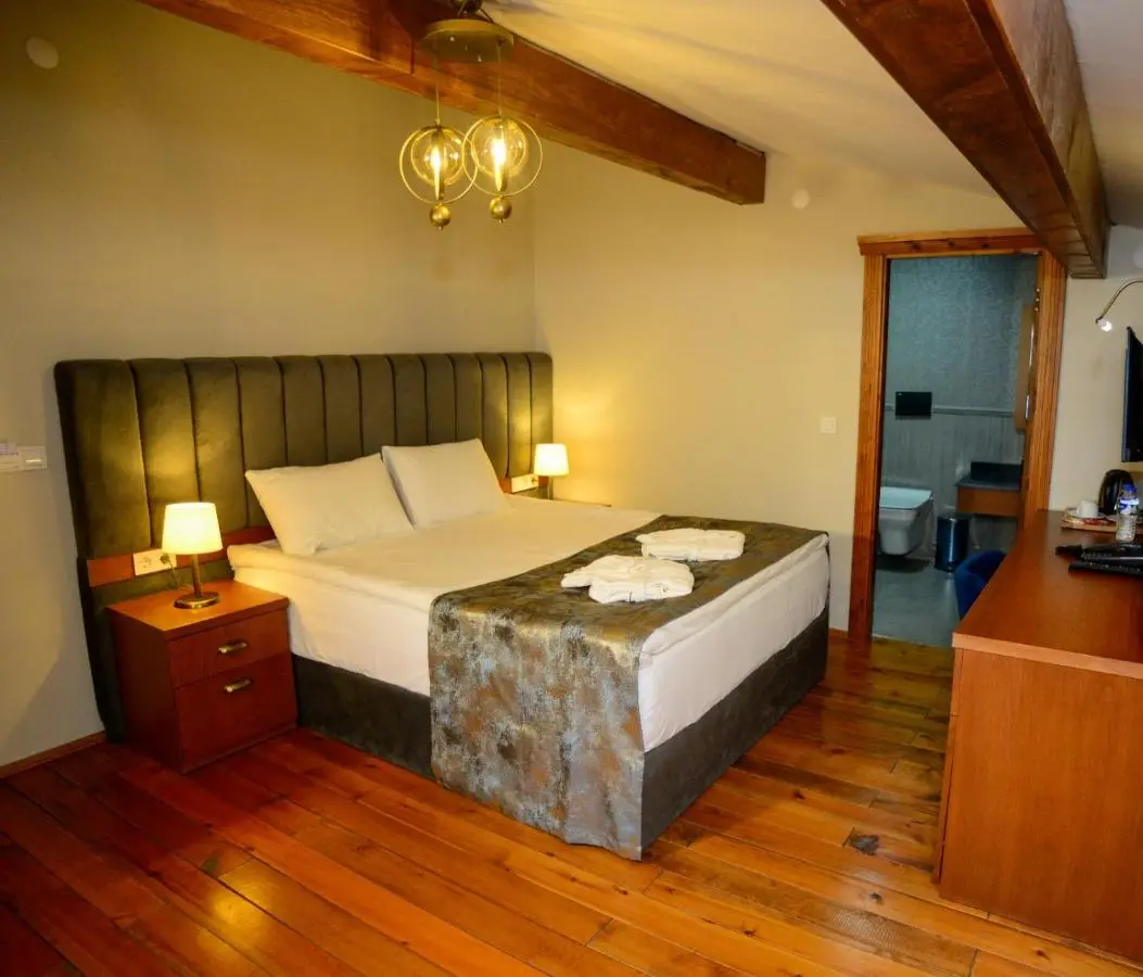 AHISKA PALAS OTEL