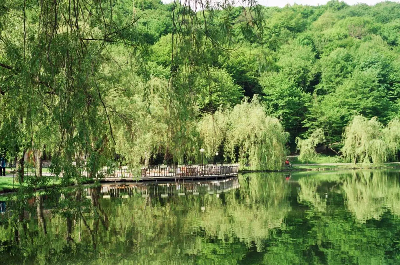 Lopota Lake Resort & Spa