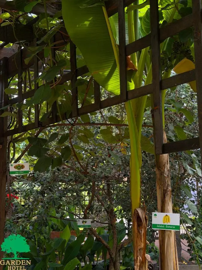 Garden Hotel
