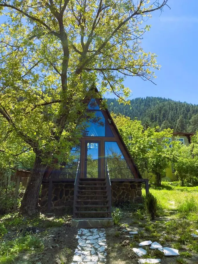 Wonderwood Borjomi Cottage