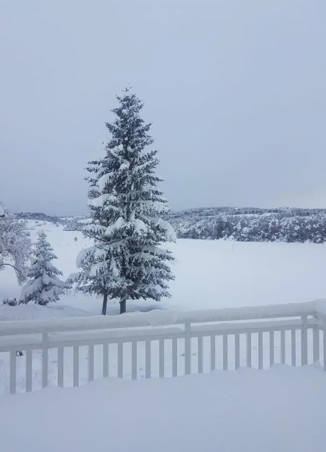 Apartman Potok