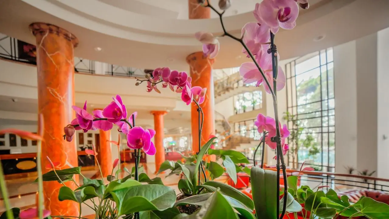 Kobuleti Georgia Palace Hotel & Spa