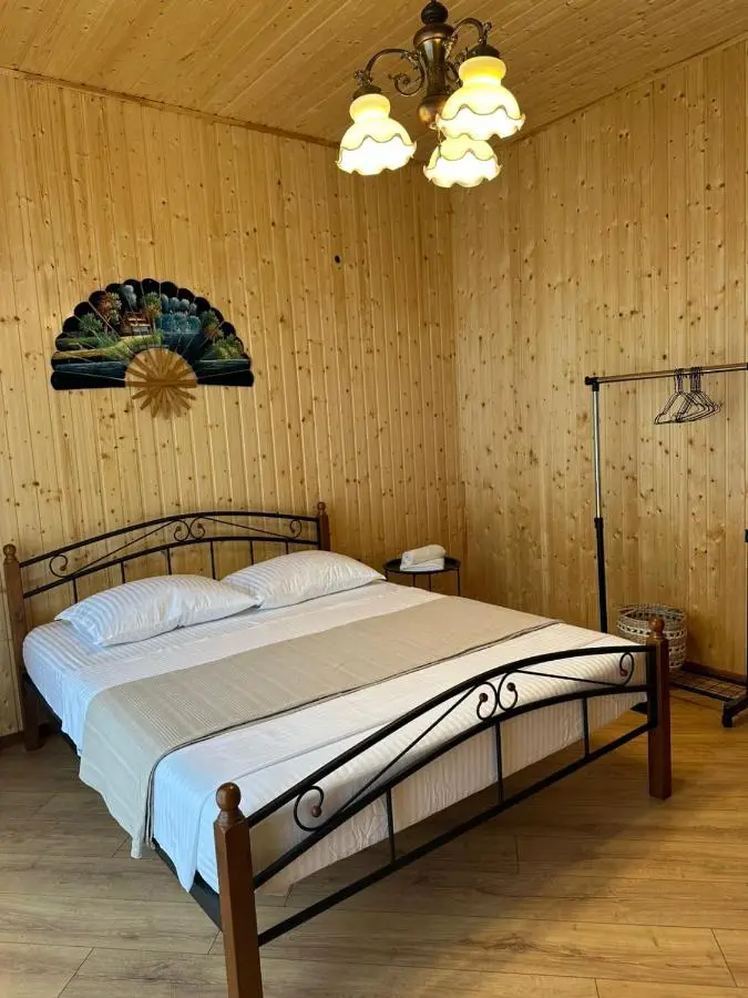 Dream House borjomi sadgeri
