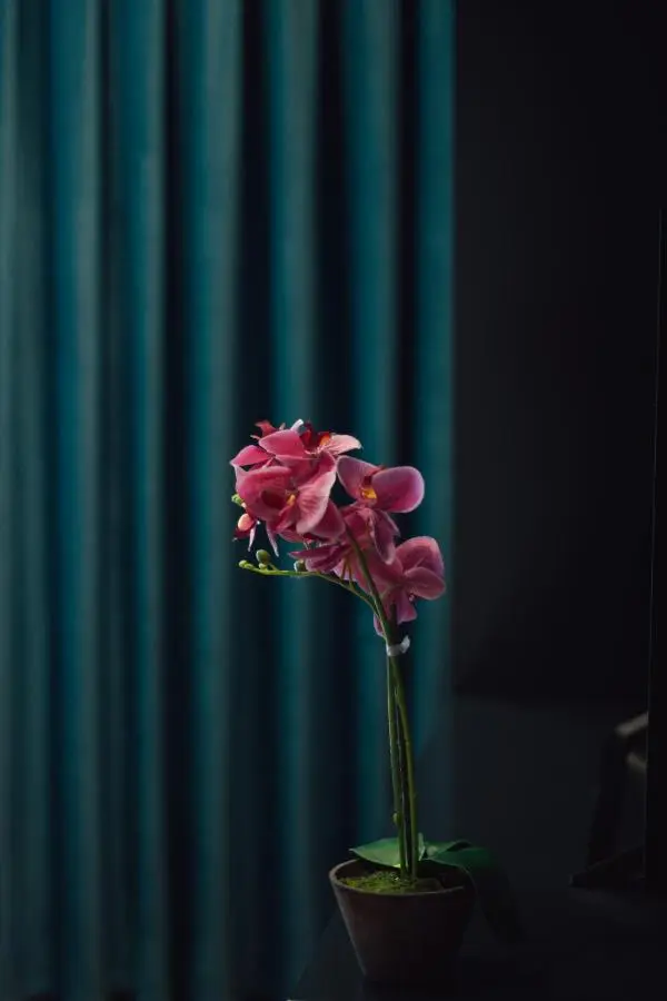 Brilant Luxury Apartment