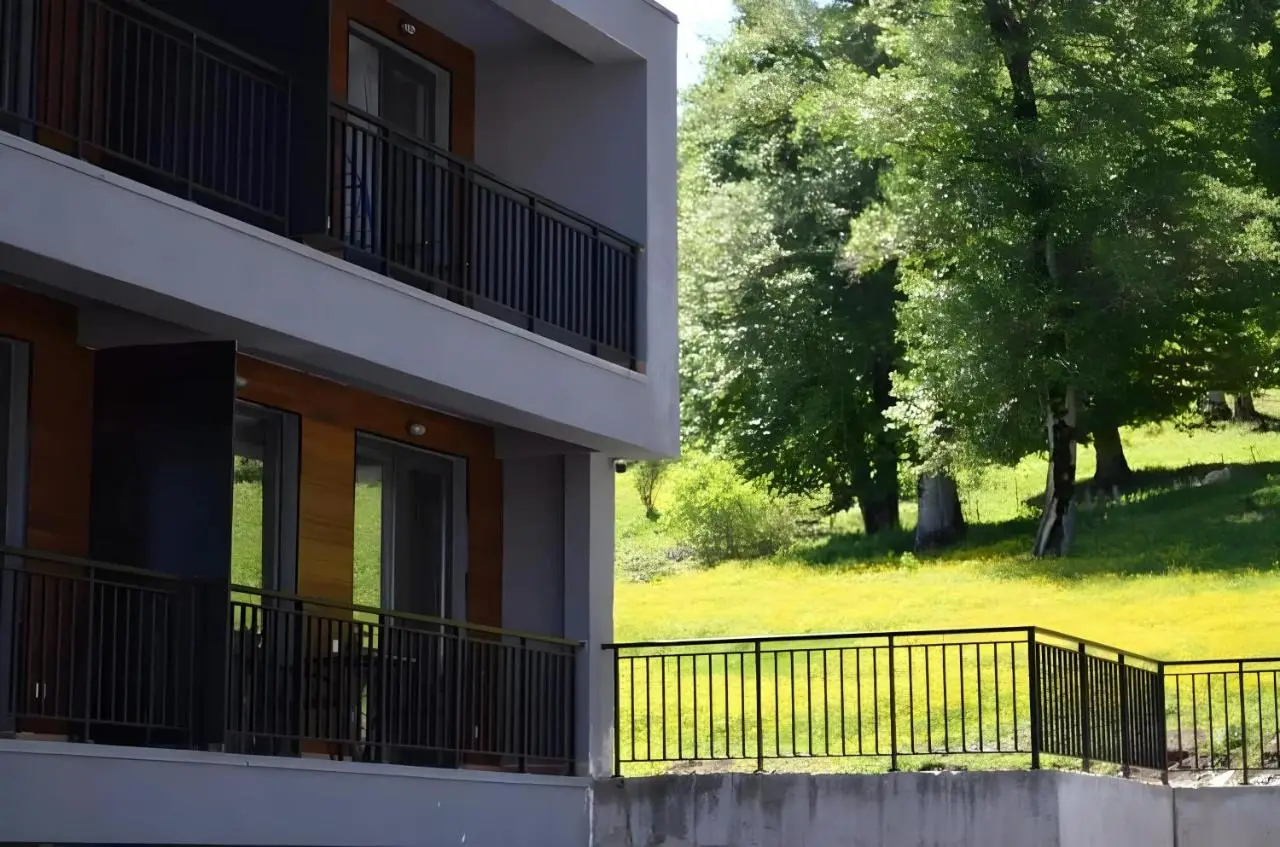 Area Park Bakuriani, Apartment 5