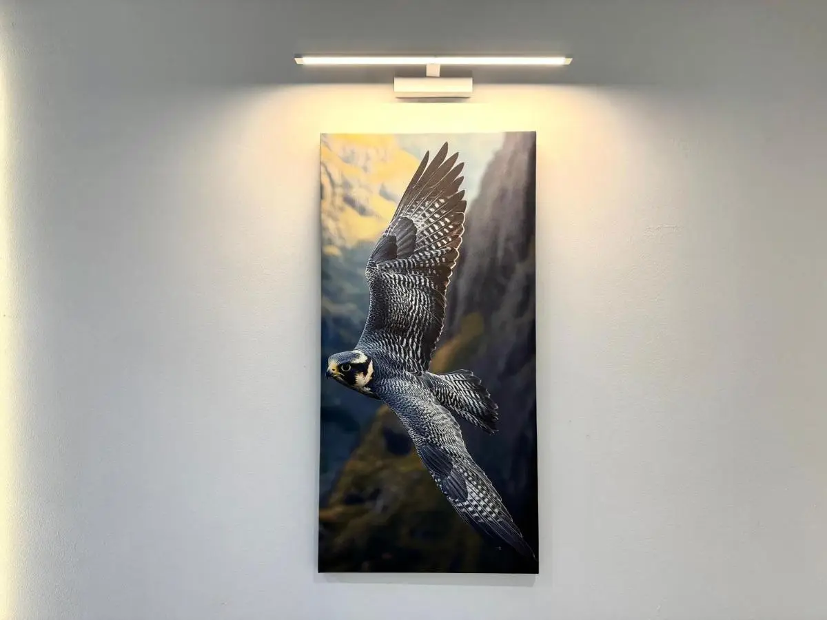Qafqaz Falcon Chalet