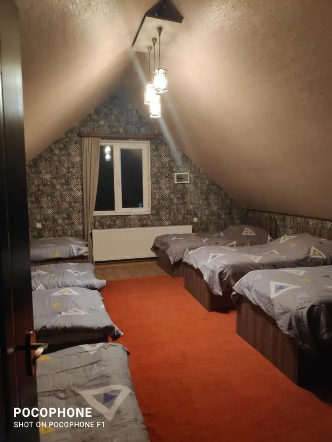 Green Hostel