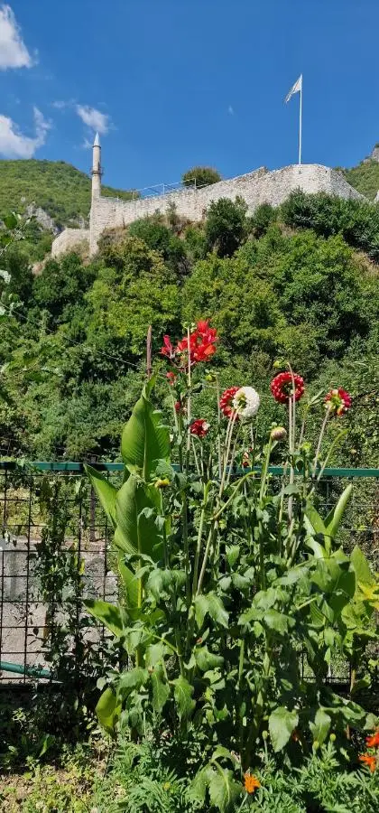 Apartment Plava Voda
