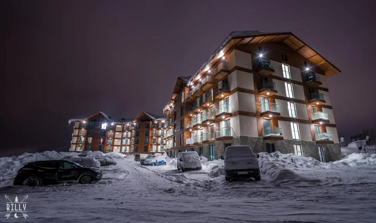 Snow Gudauri