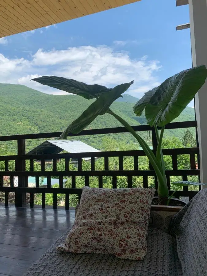 Panorama ananuri guest house