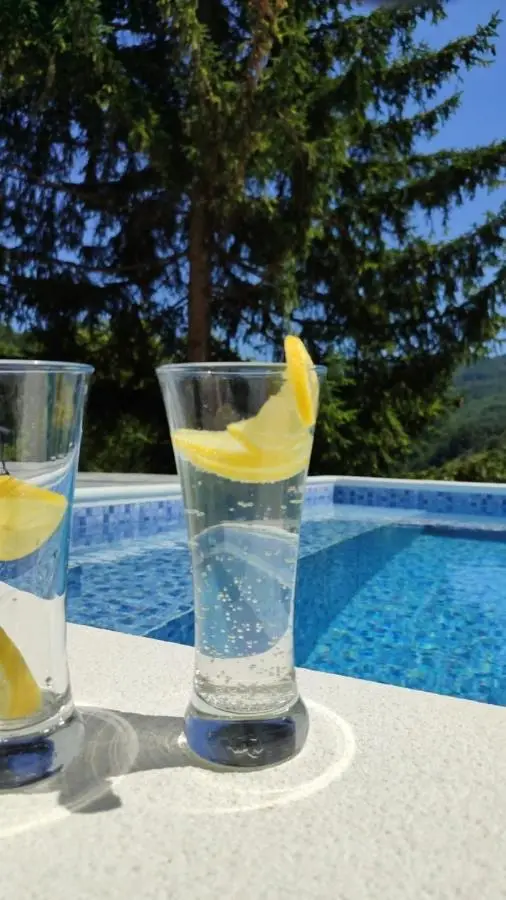 Villa Verde Glavatičevo