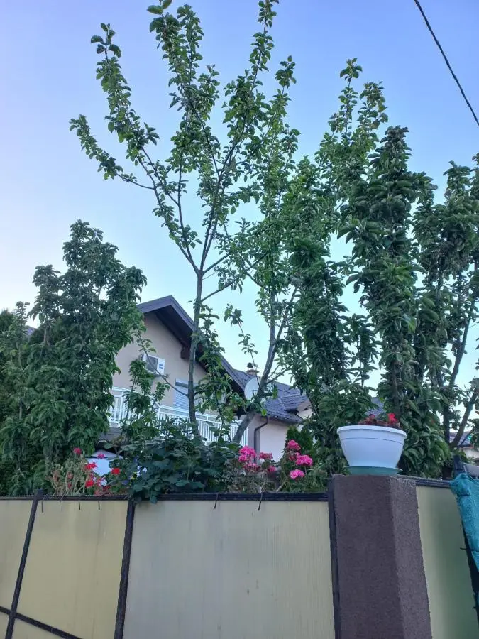 Villa Kasinda