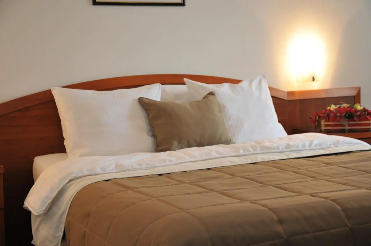 Hotel Terex