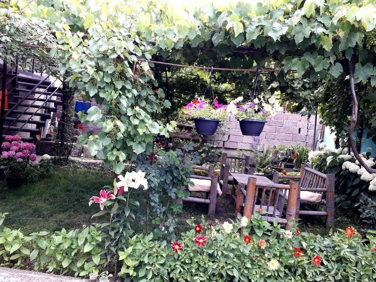 Guest House Metreveli