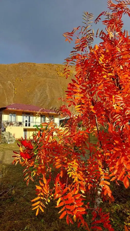 Hotel Garbani