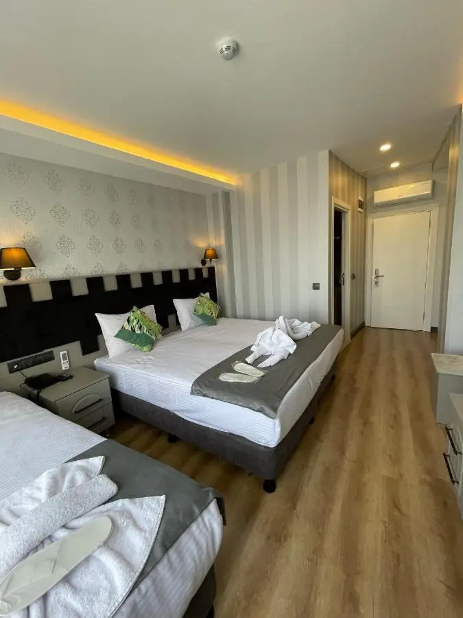 Old City Viva Hotel