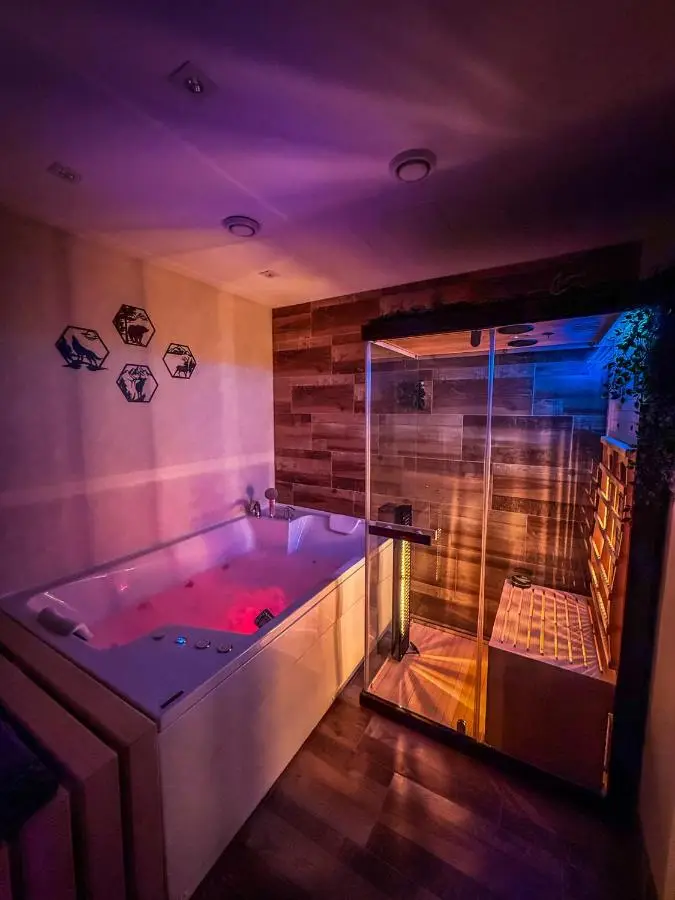 Vila Bašić Vlašić MEDO Spa Apartman Sauna & Jacuzzi