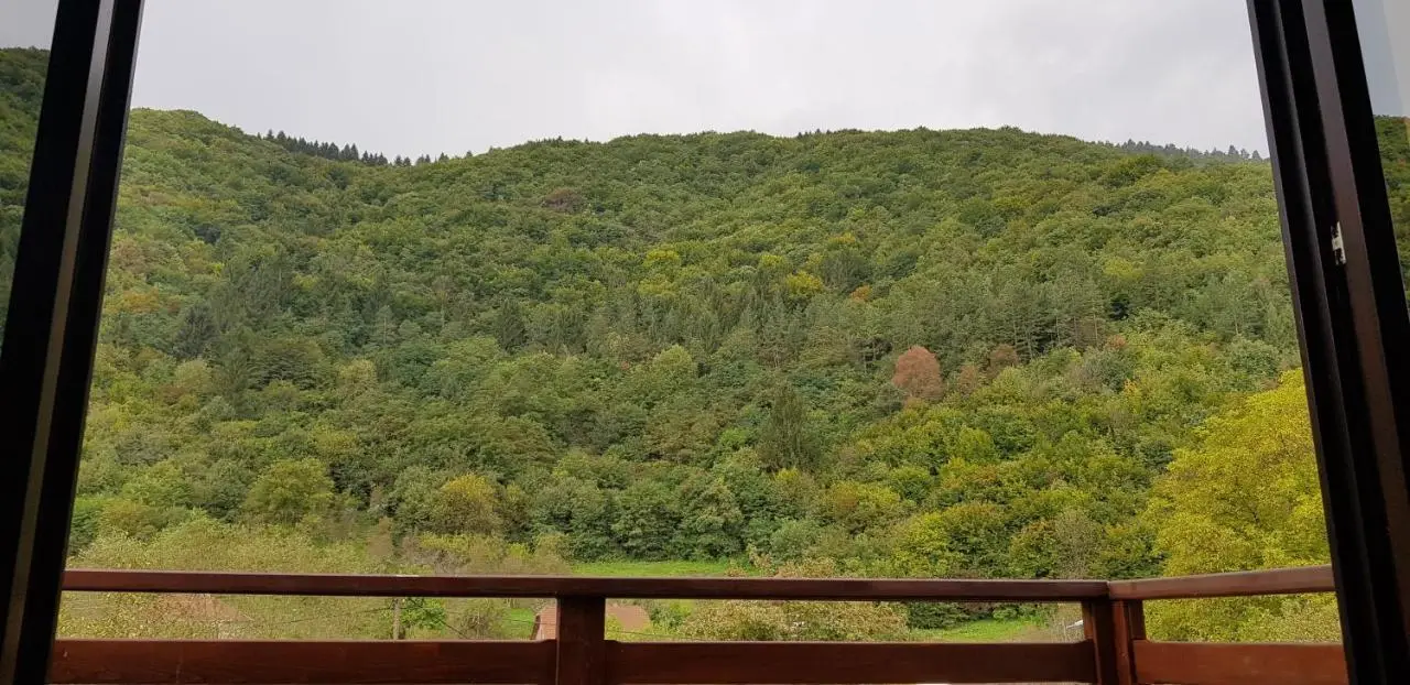 Villa Vrelo Bosne