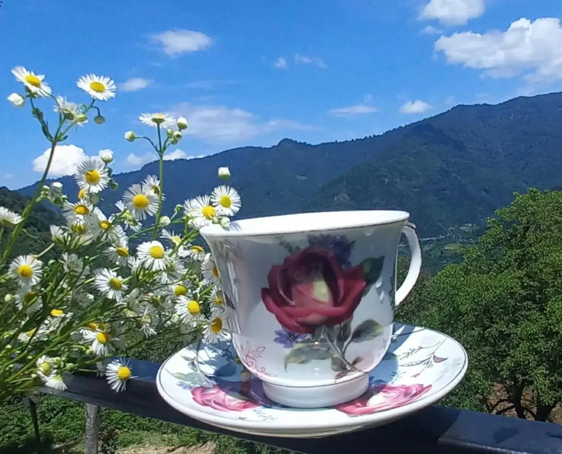 House in the clouds&სახლი ღრუბლებში
