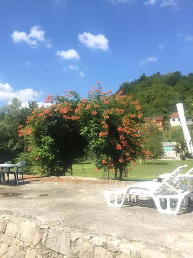 Saraj Guest House