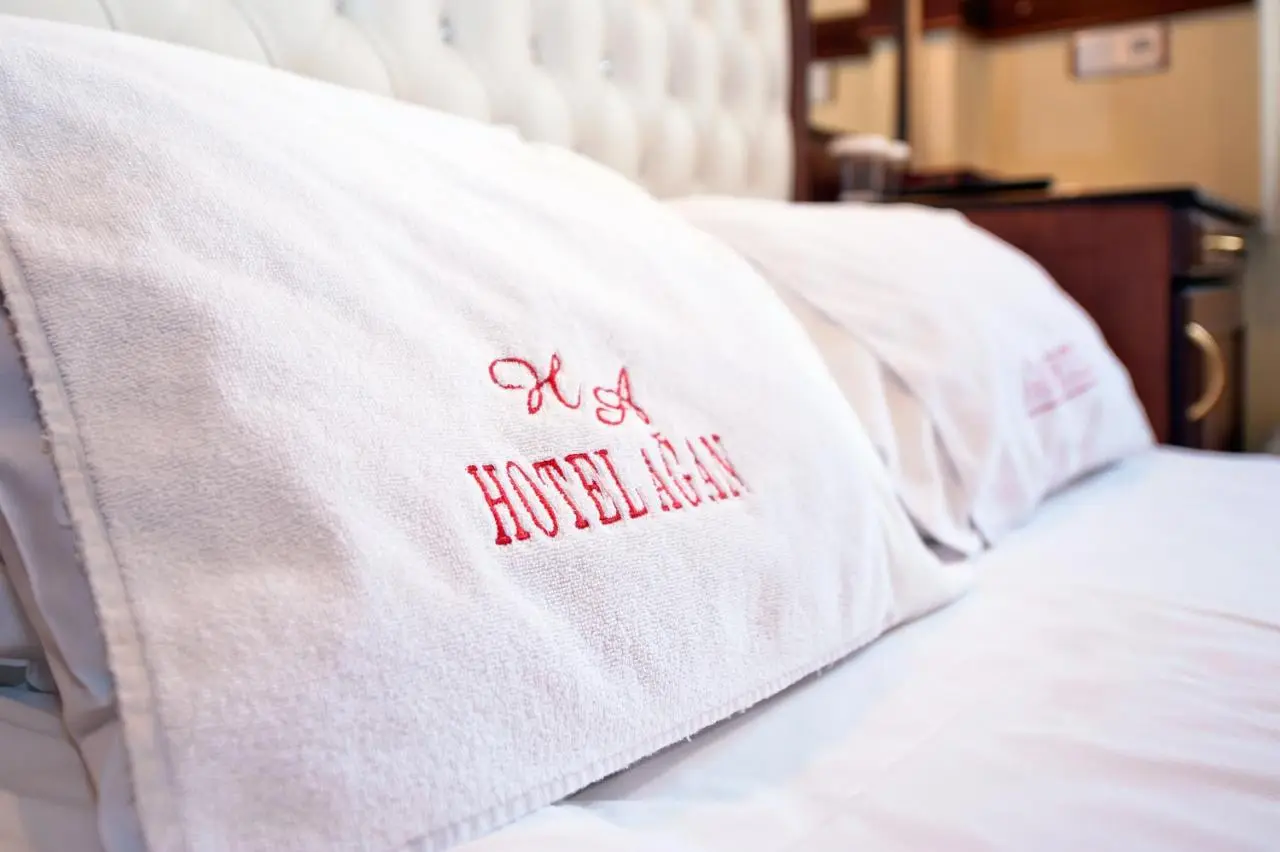Hotel Agan Oldcity Istanbul