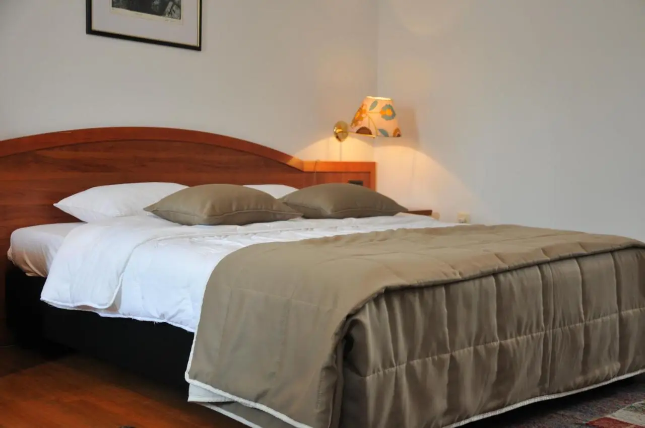 Hotel Terex