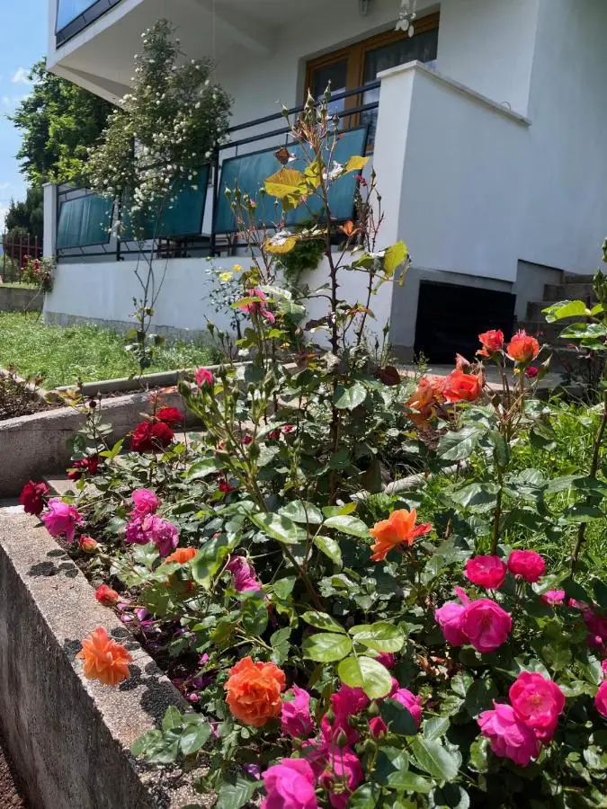 Villa Rose