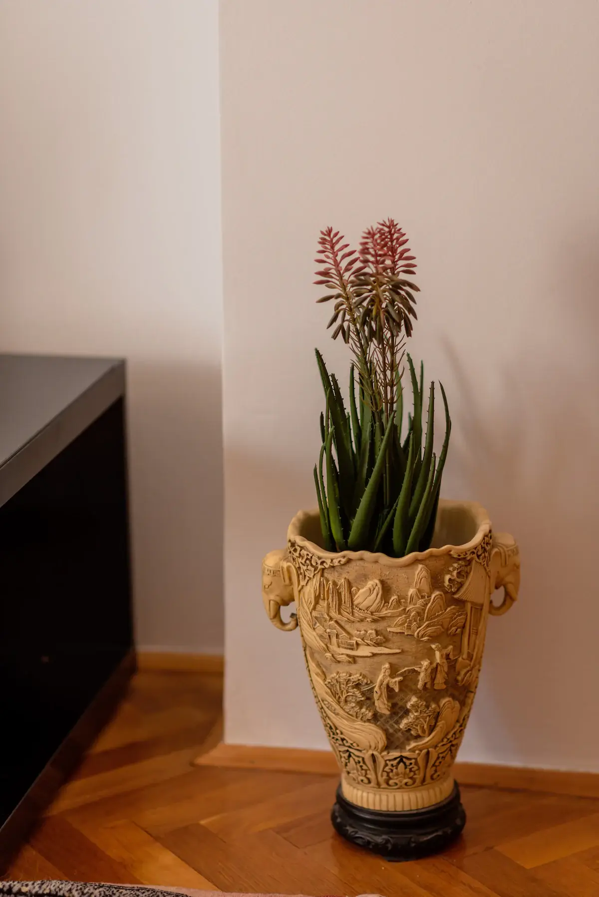 Charming Home in Old Town Sarajevo