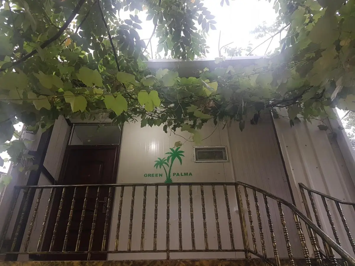 Green Palma