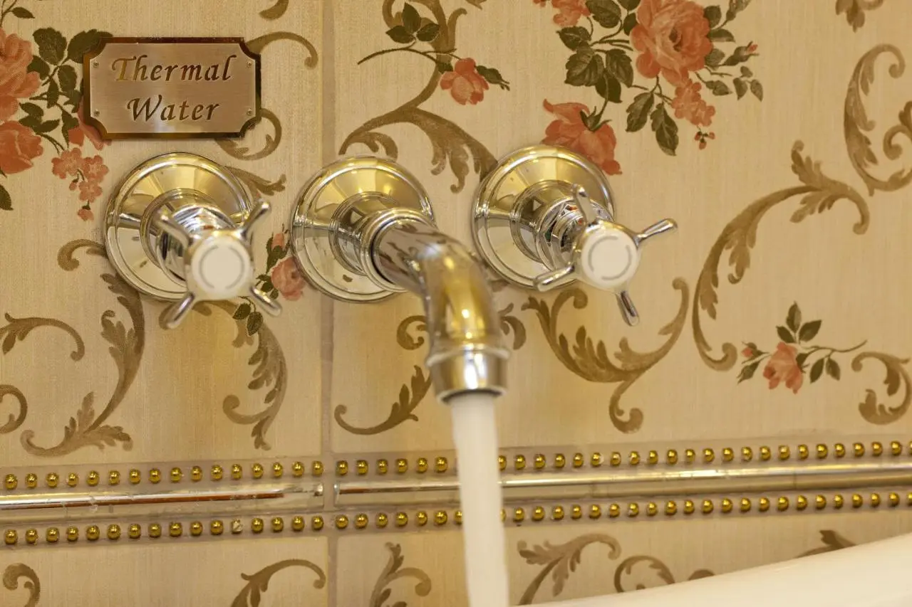 Limak Yalova Thermal Boutique Hotel