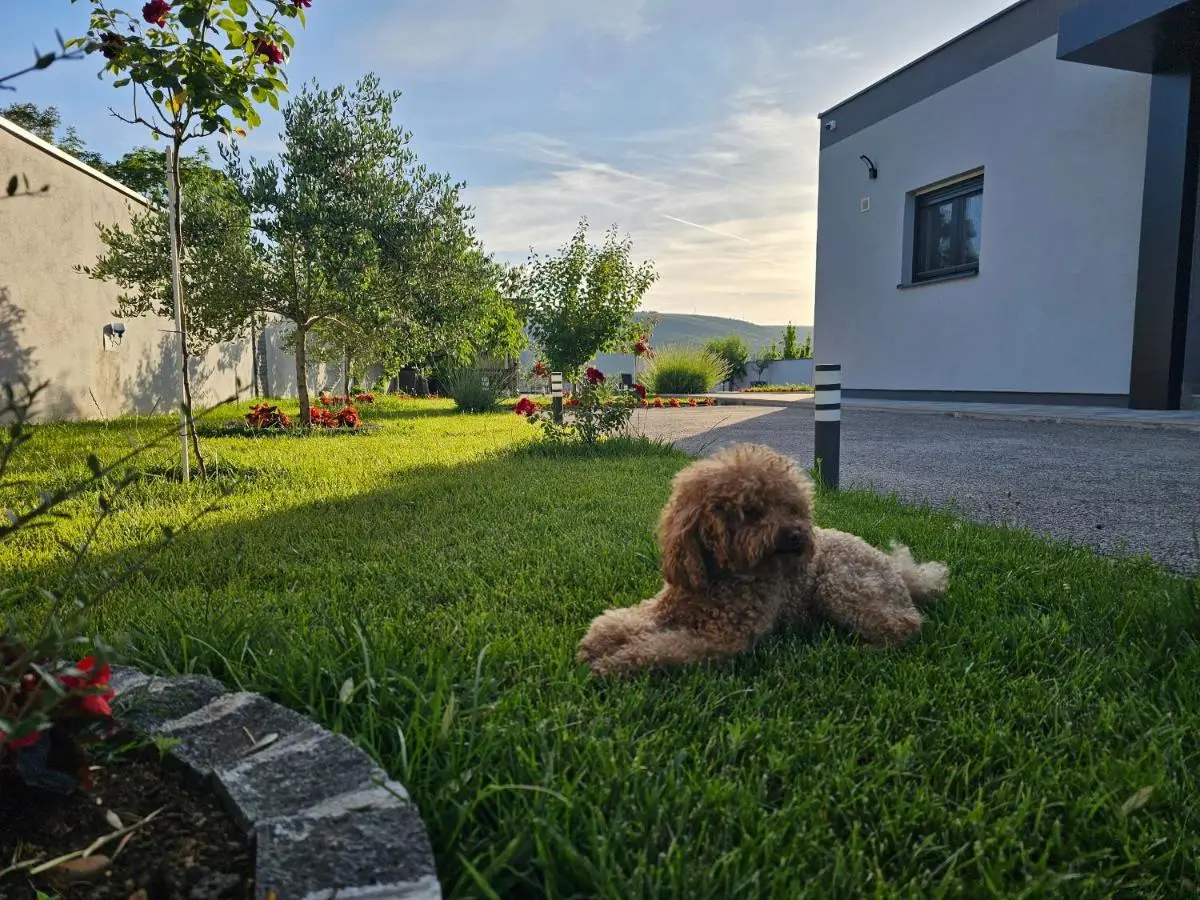Villa Vukas
