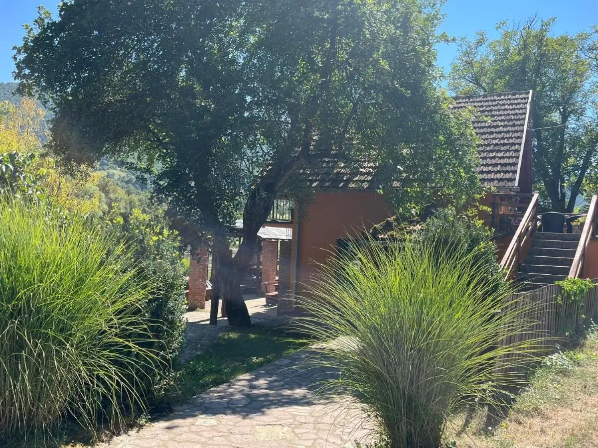 Bed and Breakfast Lola