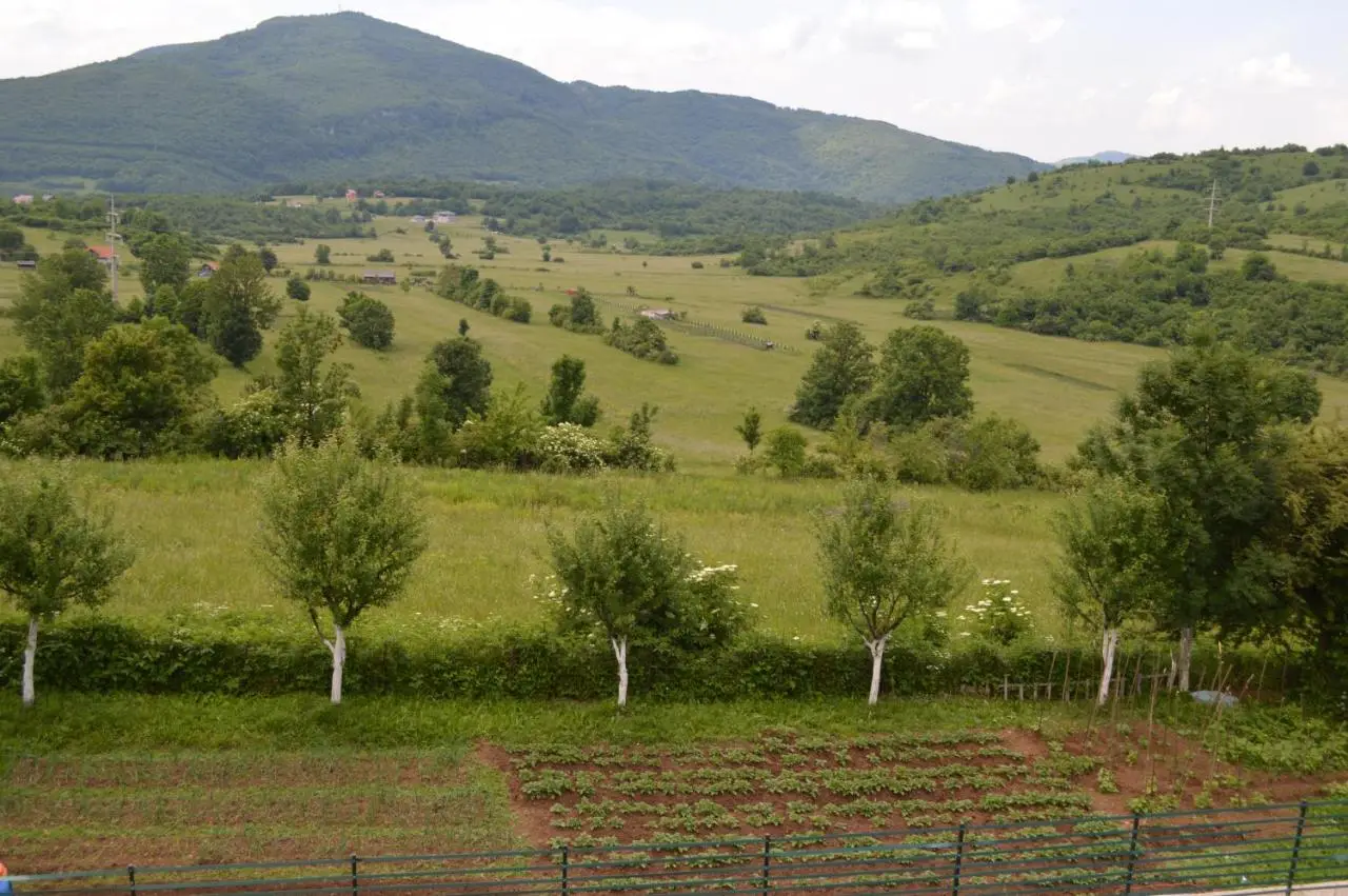 Natural House Sarajevo