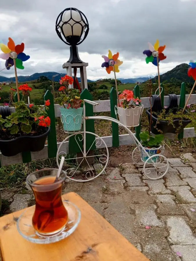 Balcı Konukevi
