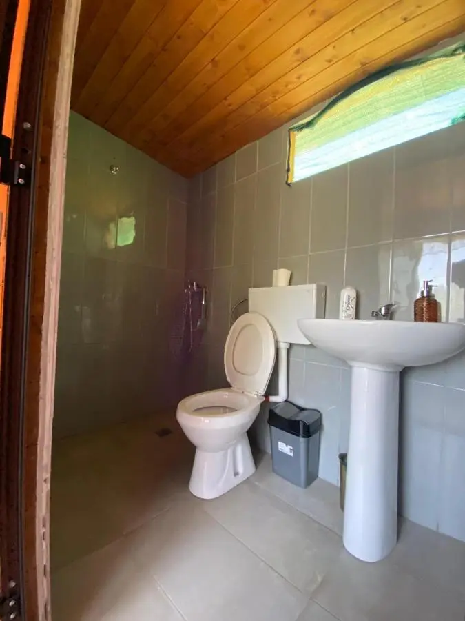 Guesthouse Driti