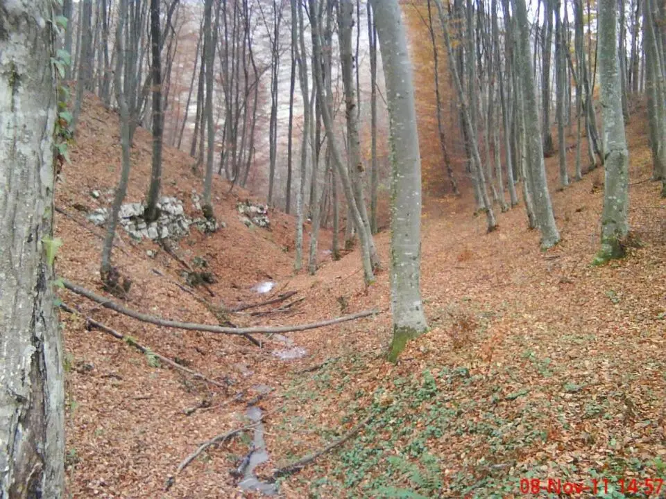 Etno kuce Miljevic