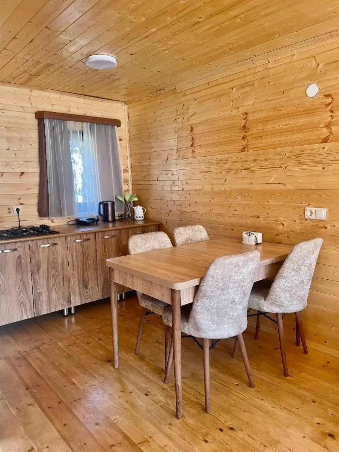Twin cottages kazbegi 2