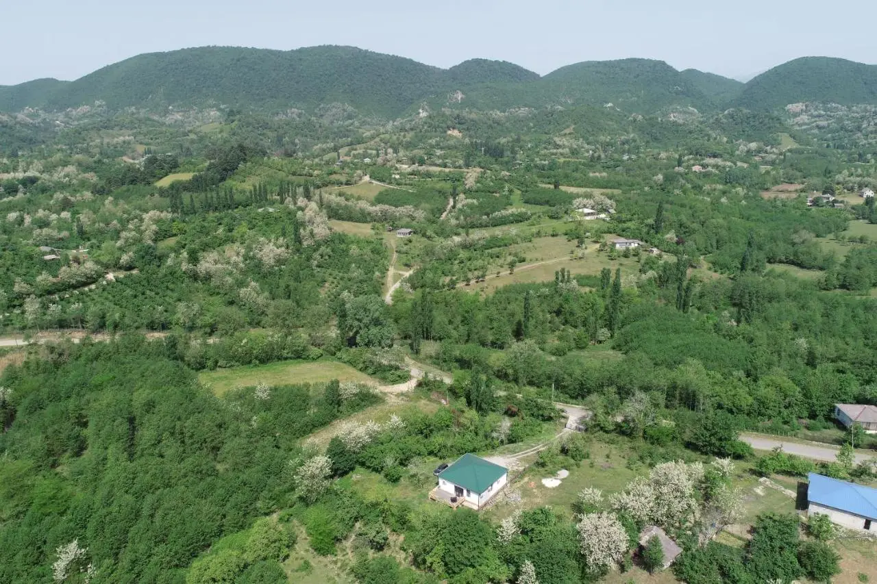 Renovated 3-bedroom House in Nature - Iskia Estate