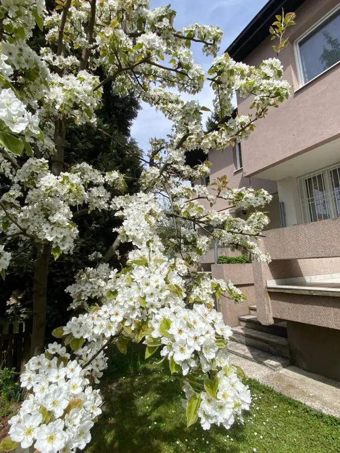 Holiday Home Ilidza Rose