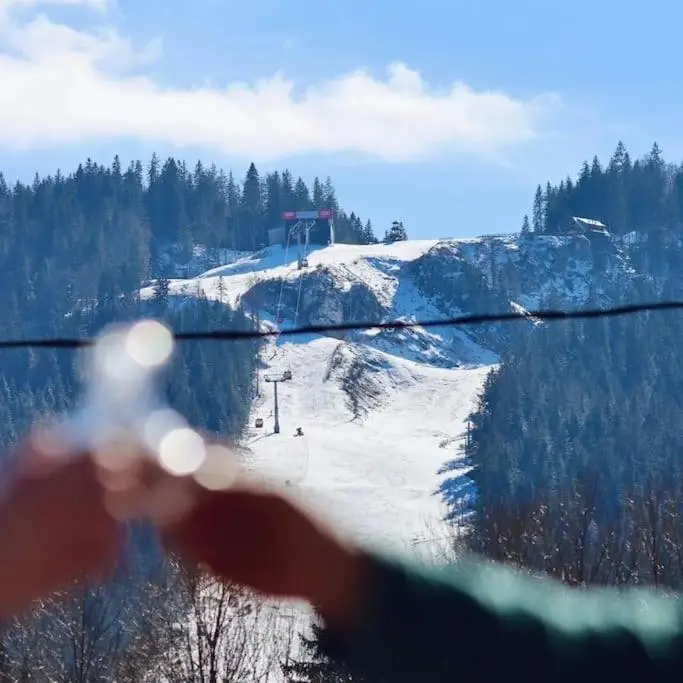 Koliba Ravna planina