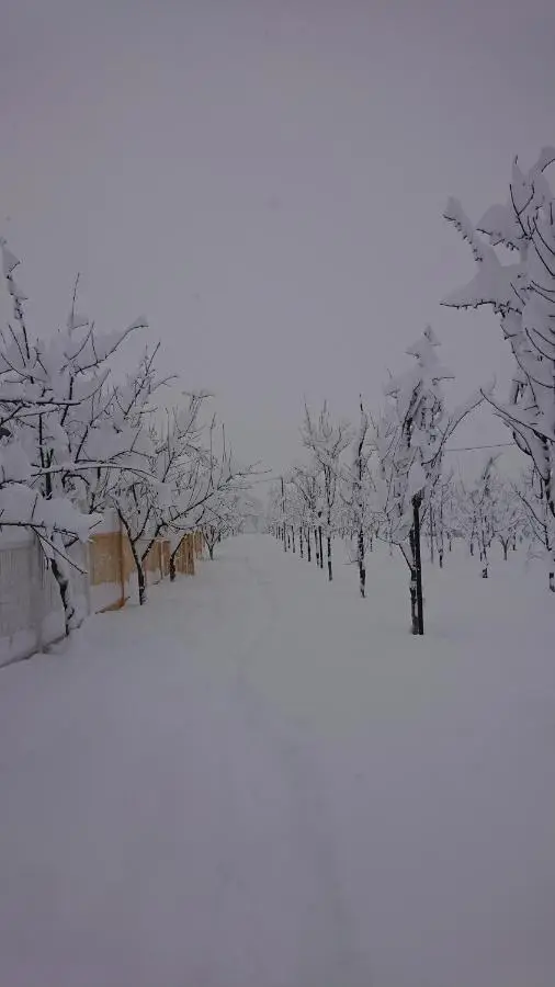 Our Garden