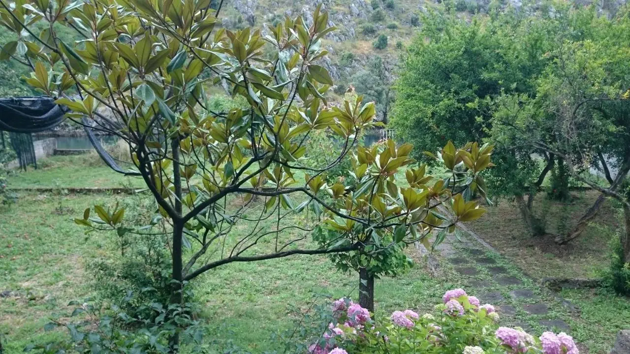 Villa San