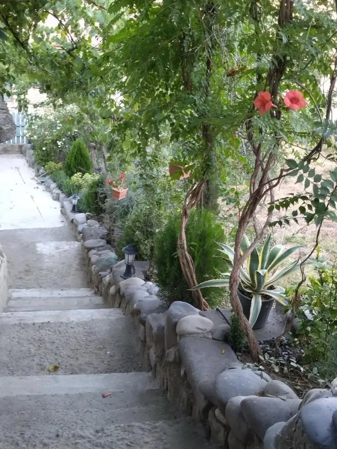 garden and panorama