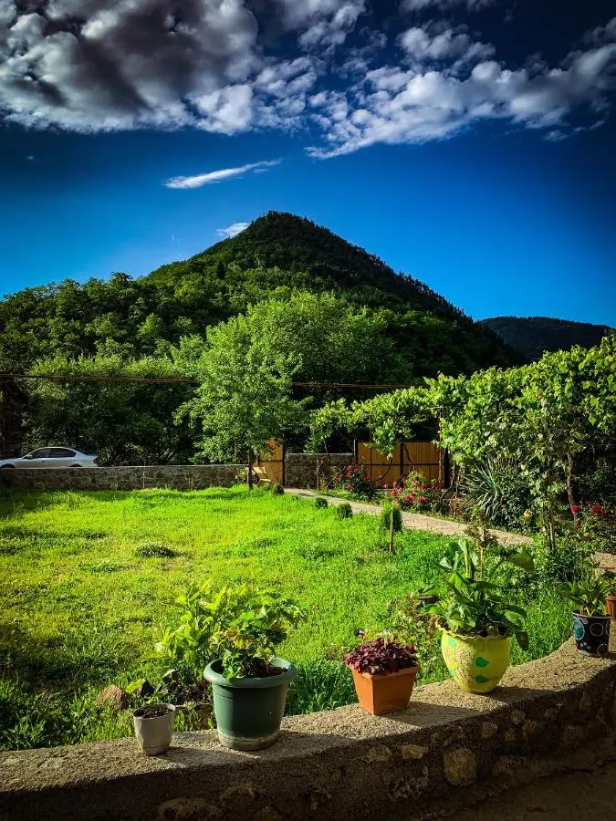 Family hotel mountain panorama