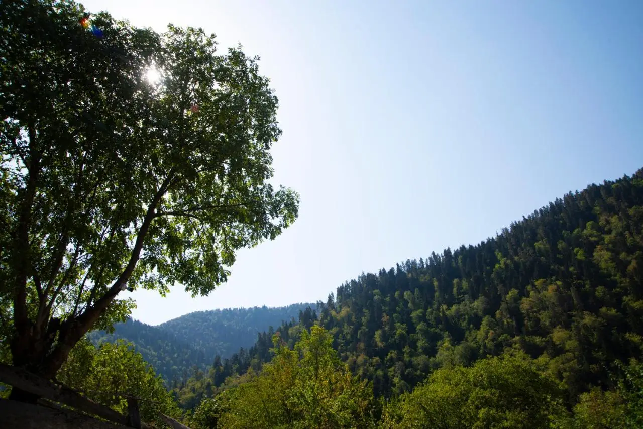 Landhaus Borjomi