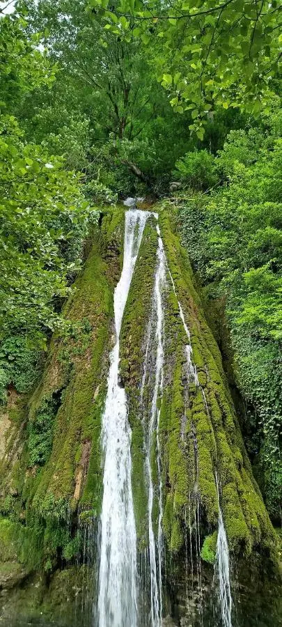 Cottage SA-LI - კოტეჯი SA-LI