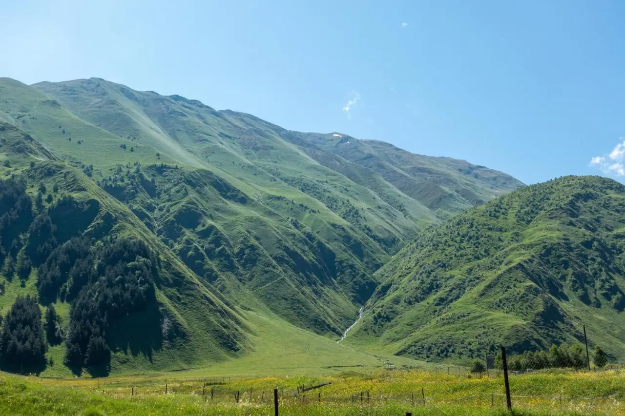 Terkhena