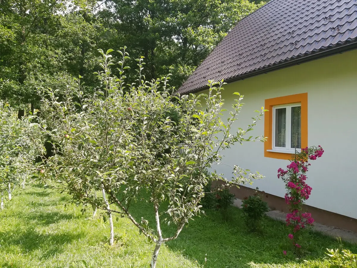 Orange House