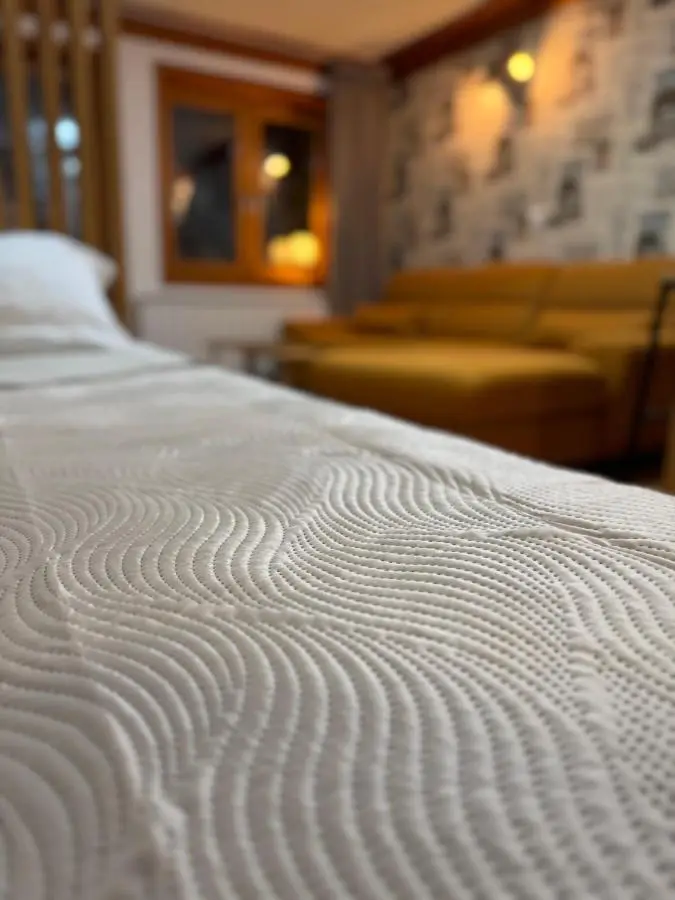 Apartment 122 - Aparthotel Vučko Jahorina - private host