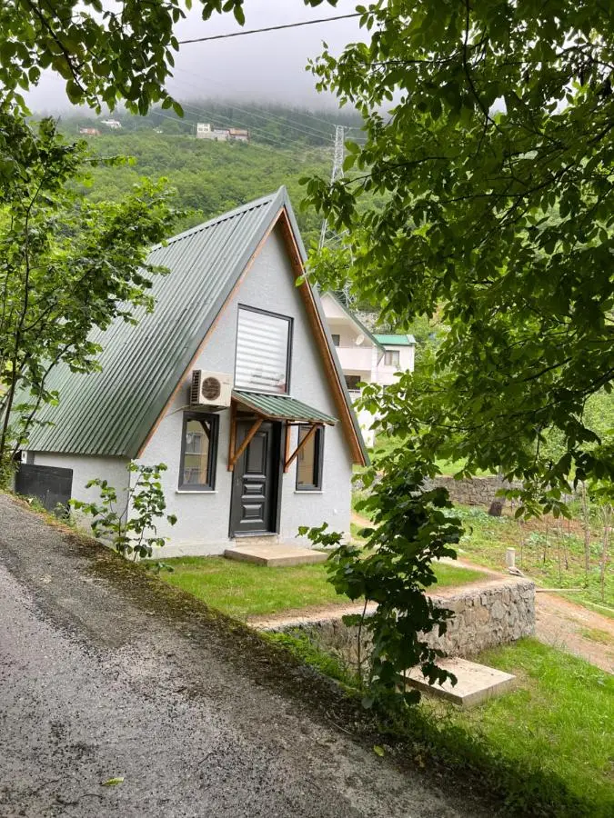 Ali's House